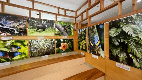 山原秧雞生態展示學習設施