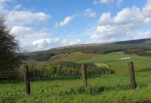 Slieve Bloom Mountains景点图片