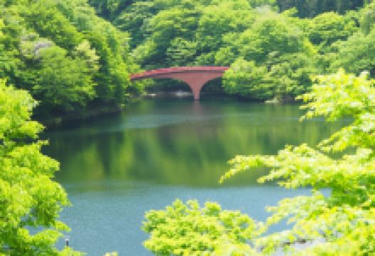 碓氷湖景点图片