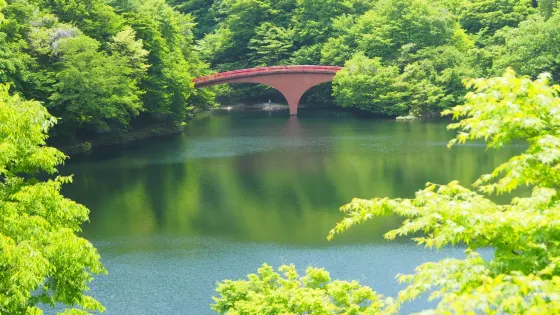 碓氷湖