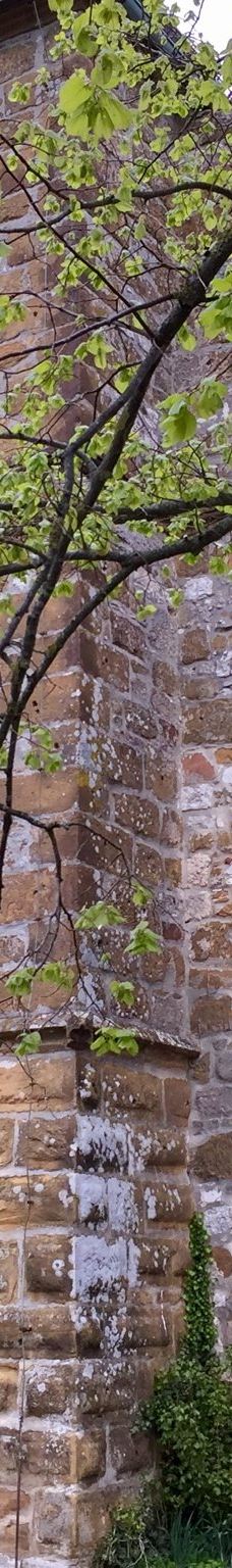 Giechburg-谢斯利茨