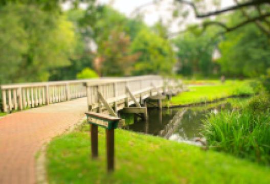 Muhlenteich景点图片