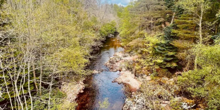 Glen Tanar National Nature Reserve