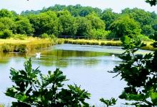 Reserve Naturelle des Pres Sales d'Ares et de Lege景点图片