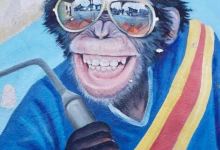 Bandombe Galerie景点图片