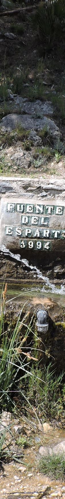 Fuente del Esparto-内尔哈