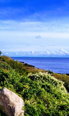 Hammer Lighthouse (Hammer Fyr)-阿灵厄