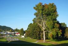 Taumarunui Domain景点图片