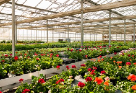 Flóratéka Kertészet Kft购物图片