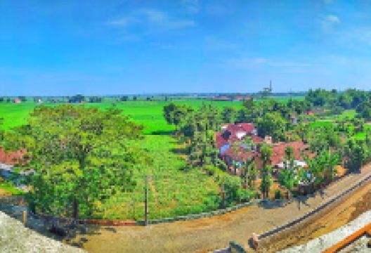 Masjid Al-Barokah景点图片