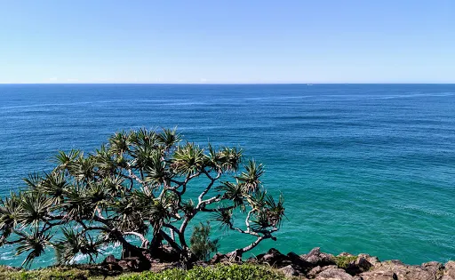 Cabarita Beach Whale Lookout