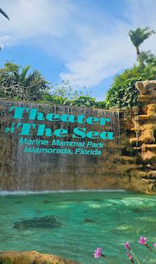 Theater of the Sea-伊斯拉莫拉达