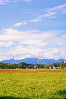 CDC - Children's Playground-马巴拉卡特
