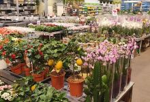 Hageland Porsgrunn购物图片