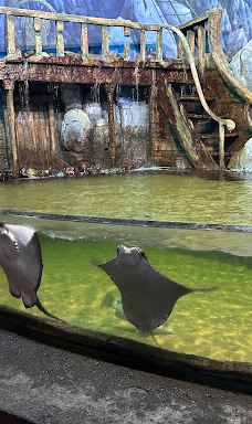 ViaSea水族馆-伊斯坦布尔
