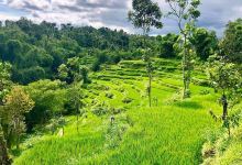 Desa Wisata jeruk Manis景点图片