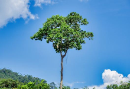 Cascada Velo del Ninfa景点图片