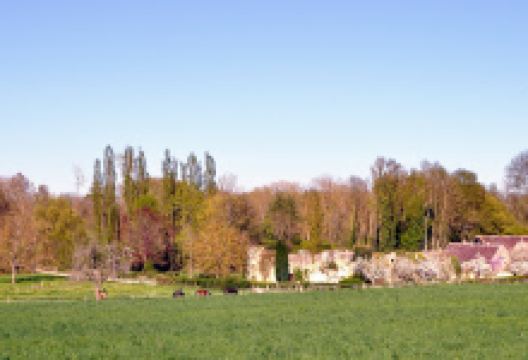 Fort de Challeau景点图片