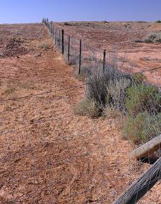 Oodnadatta Track to Mount Dare 4wd Track Start 4wd-Tieyon