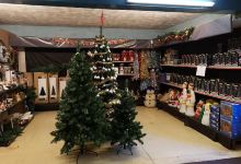 Oakhurst Garden Centre购物图片