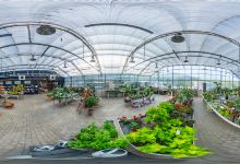Trädgårdsbutiken Plantskolan i Vellinge AB购物图片
