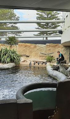 新西兰国家水族馆-纳皮尔