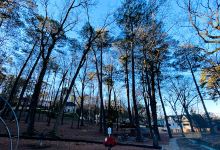 Overton Park景点图片