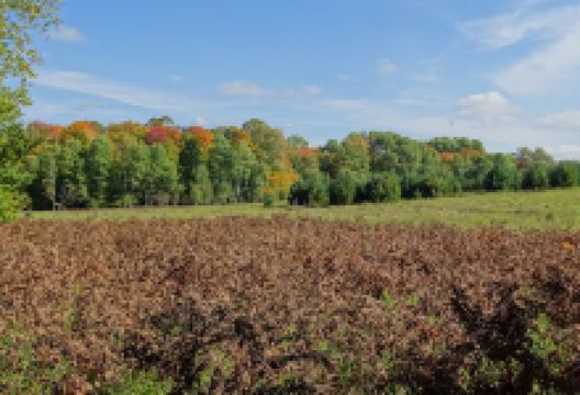 Seney National Wildlife Refuge - Robinson Rd Access Point景点图片