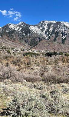 Dimple Dell Regional Park-山迪