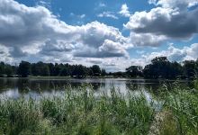 Camping Manor Hämelsee景点图片