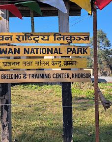 Tikauli Jungle-奇旺