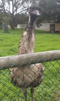 Bunbury Wildlife Park-South Bunbury