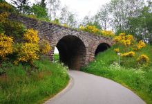 Vennbahn Radweg Neidingen景点图片