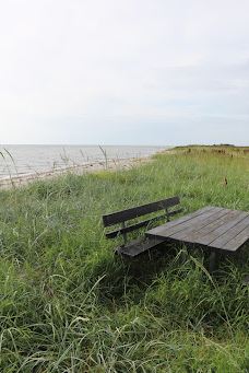 Lyngså Strand-赛比