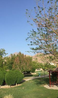 Garden gras-尼兹瓦