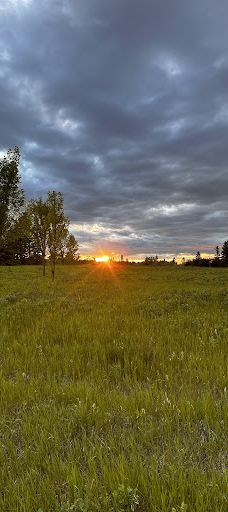 South Glenmore Park-卡尔加里