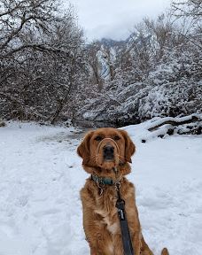Dimple Dell Regional Park-山迪
