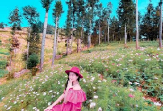 Vườn hoa cánh bướm Na Hối - Bắc Hà景点图片