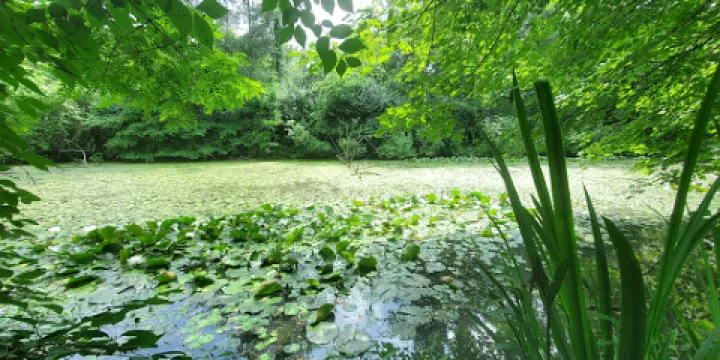 Gardenview Horticultural Park