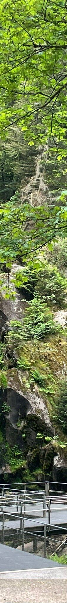 特里贝格瀑布-特里贝格