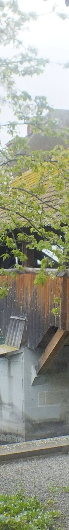 斯普洛耶桥-卢塞恩