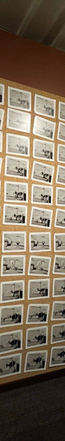 华特迪士尼家族博物馆-旧金山