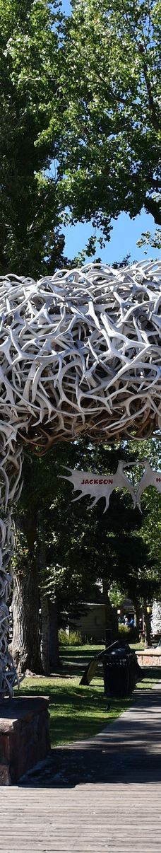 杰克逊鹿角公园-杰克逊