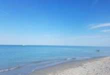 Venice Beach景点图片