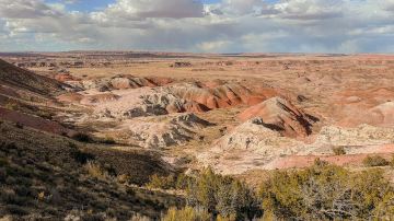 Petrified Forest National Park