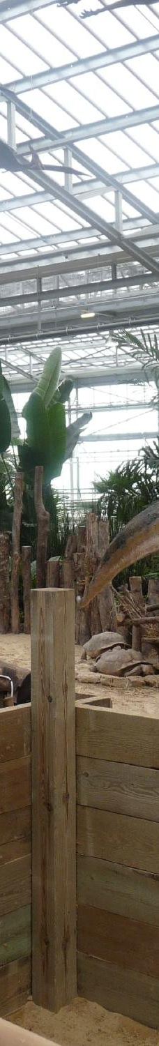 Biotropica, animal gardens-瓦德勒伊