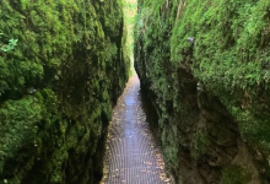 Drachenschlucht / Landgrafenschlucht景点图片