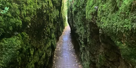 Drachenschlucht / Landgrafenschlucht