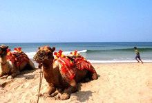 Ganpati Phule Beach景点图片