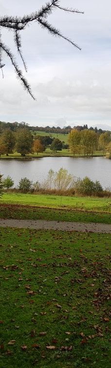 Ripley Castle-哈罗盖特